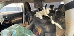 Carro de homens que saíram de SP para cobrar dívidas no PR