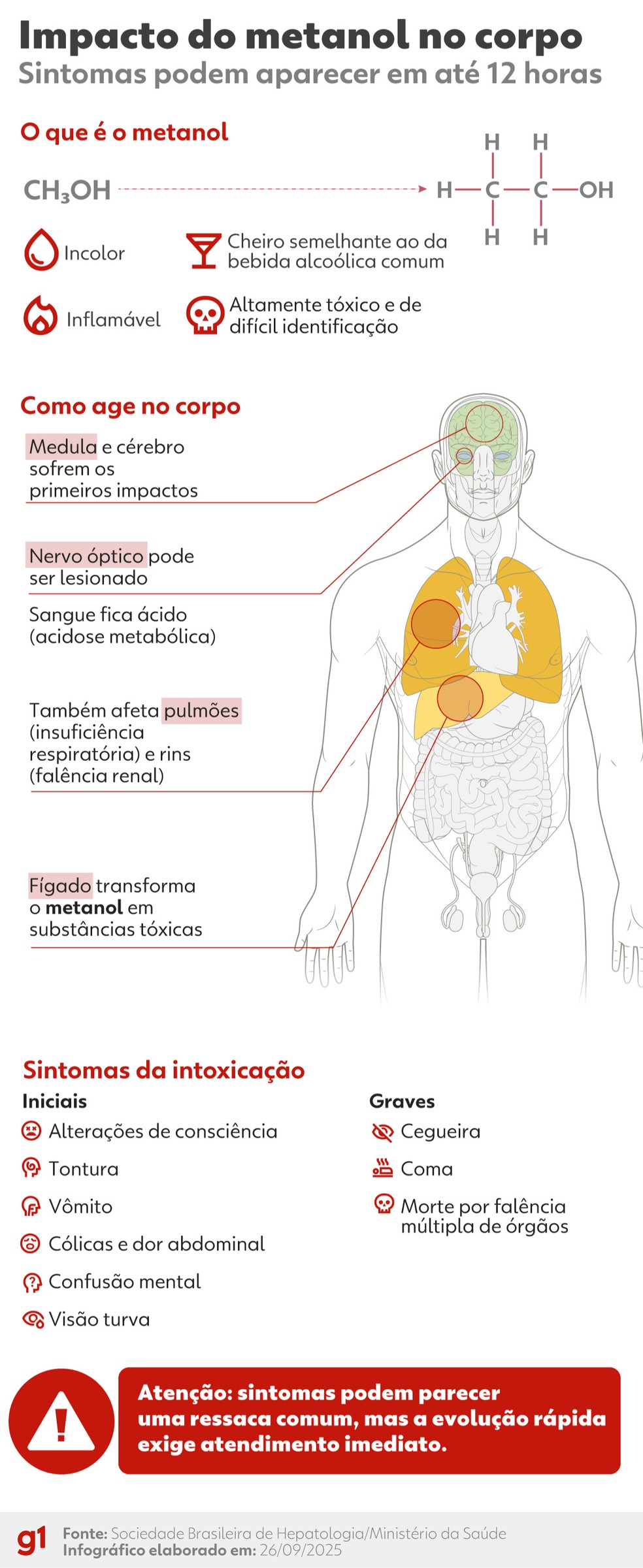  Impactos do metanol — Foto: Arte/g1