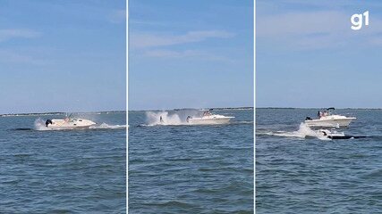 Baleia morre após colisão com pequeno barco na costa de Nova Jersey Baleia morre após colisão com pequeno barco na costa de Nova Jersey