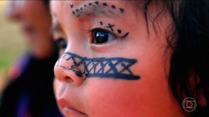 Mata Atlântica abre série especial sobre esperança nos biomas brasileiros Mata Atlântica abre série especial sobre esperança nos biomas brasileiros