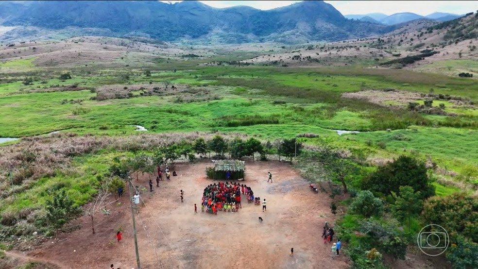 Série especial do JN mostra iniciativas de recuperação dos biomas do Brasil — Foto: Jornal Nacional/ Reprodução