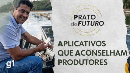 Sem técnicos, aplicativos servem de conselheiros para produtores rurais