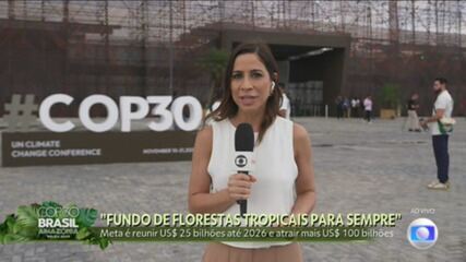 Julia Duailibi: 47 países se manifestaram favoráveis à adesão ao fundo de florestas tropicais