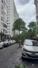 Vento forte que atingiu o Rio derrubou árvores na Zona Sul da cidade