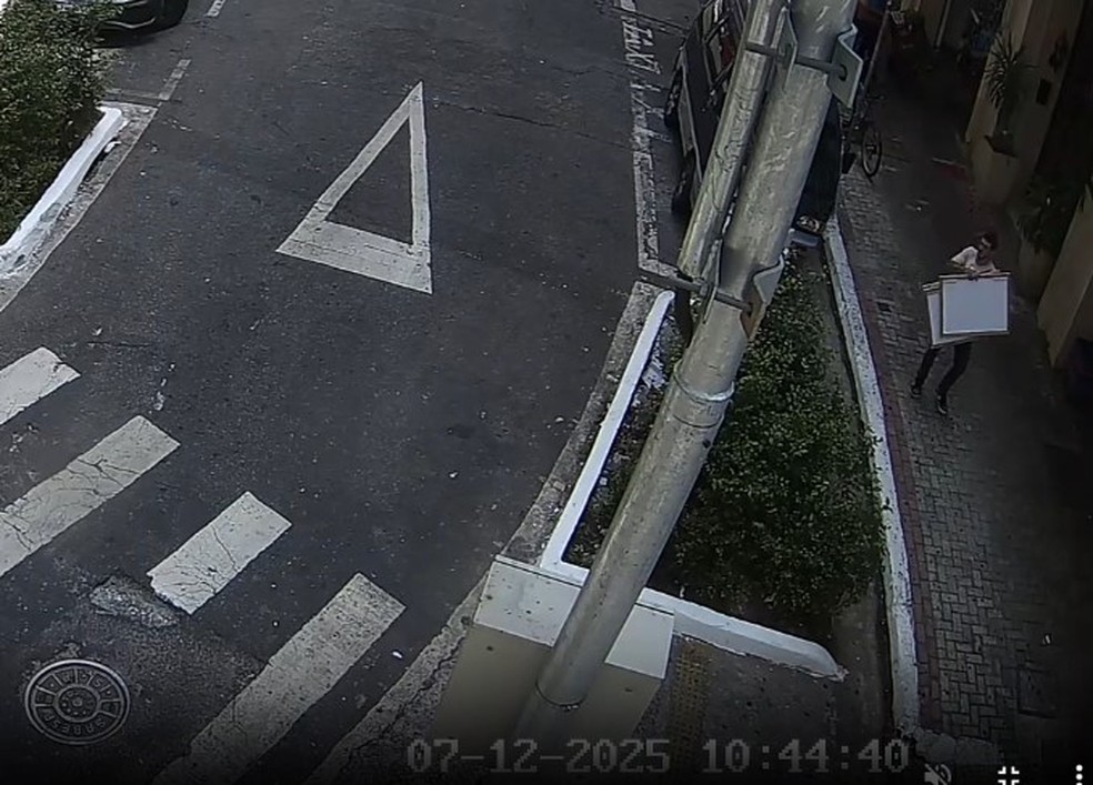 Imagem mostra ladrões com obras roubadas da Biblioteca Mário de Andrade em rua do Centro de SP — Foto: Reprodução