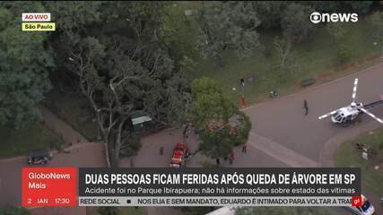 Queda de árvore deixa duas pessoas feridas no parque do Ibirapuera em SP