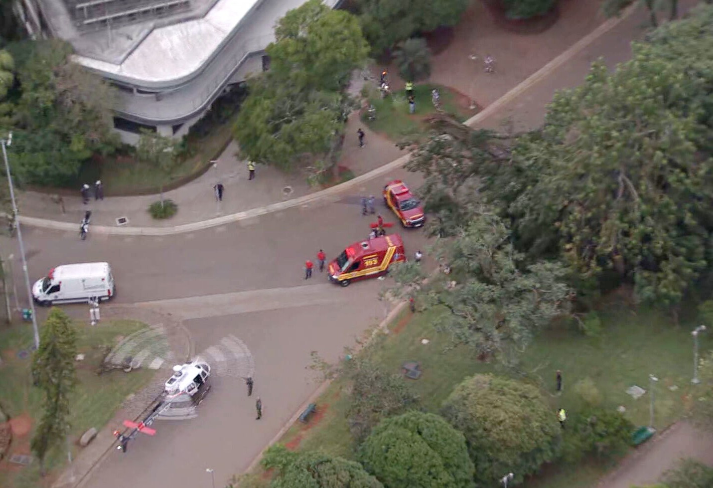 Árvore de grande porte cai no Parque do Ibirapuera e deixa 3 feridos