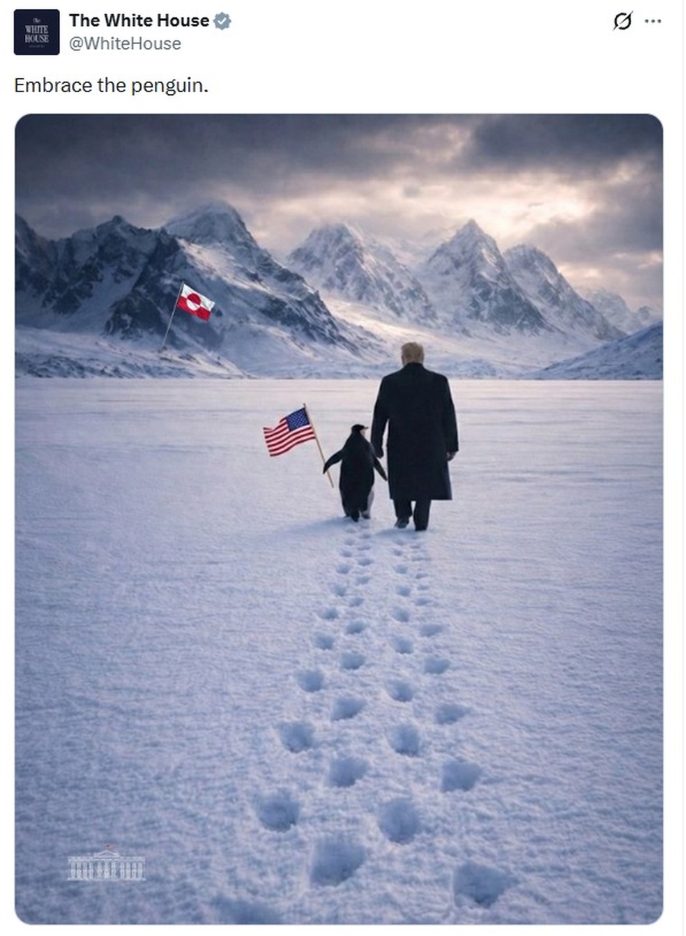 Casa Branca posta montagem de Trump com pinguim na Groenlândia - mas essas aves não vivem no Ártico — Foto: Reprodução