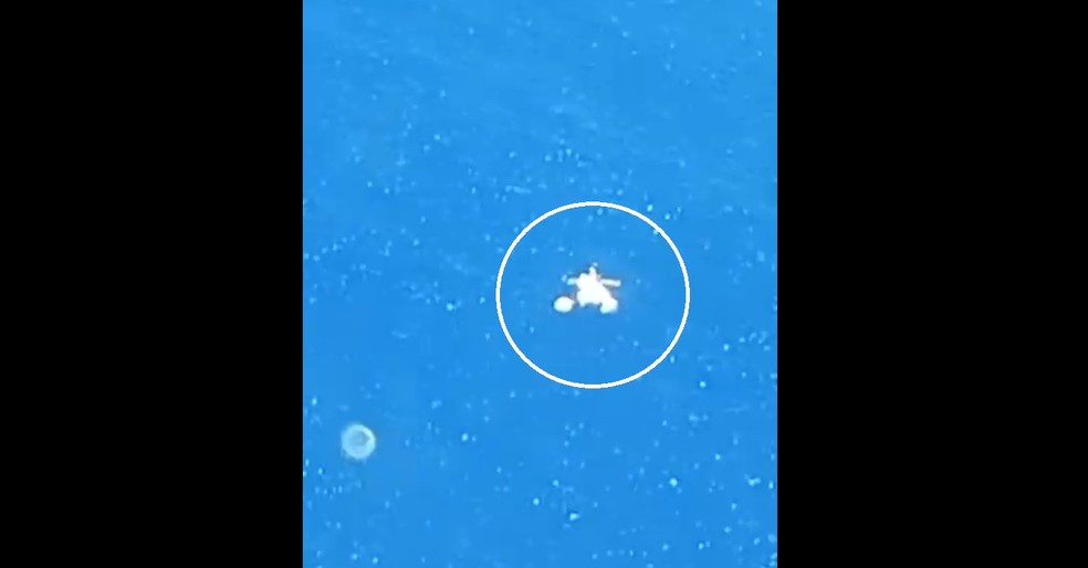 Aeronave cai em mar de Cabo Frio — Foto: Reprodução/Rede Social