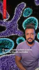 O que se sabe sobre o surto do vírus Nipah na Índia