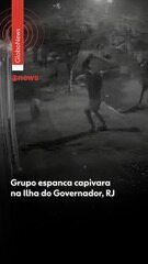 Grupo espanca capivara na Ilha do Governador, RJ