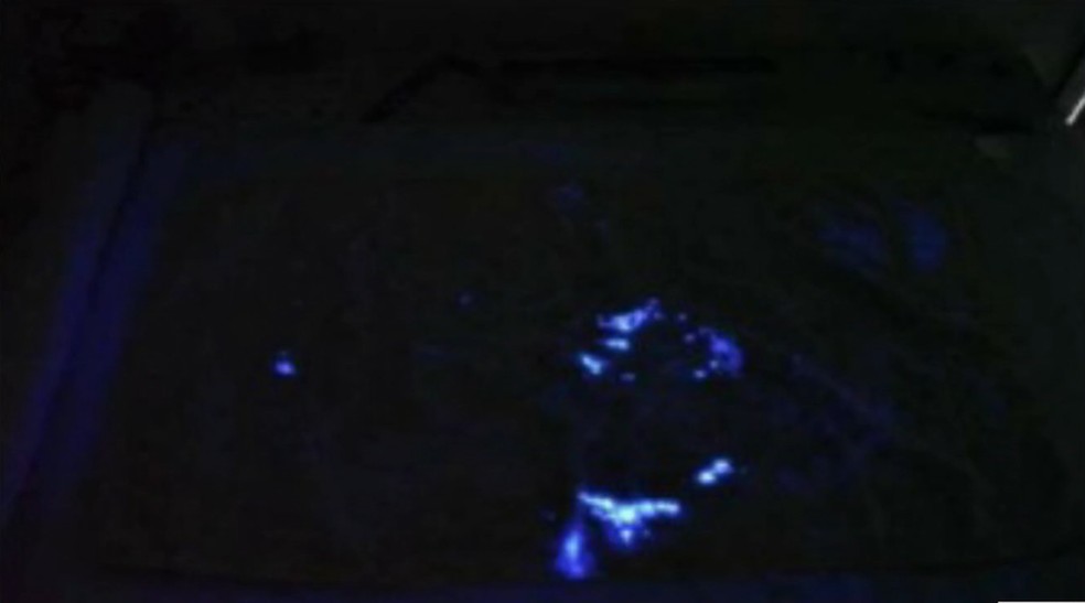 Ponto a ponto: quais foram os elementos da perícia que embasaram a prisão do tenente-coronel suspeito de matar mulher em SP — Foto: Reprodução