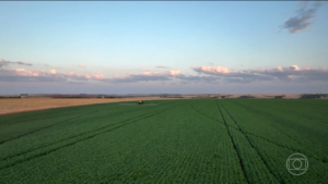 Preço de fertilizantes dispara com guerra no Irã e preocupa agro brasileiro