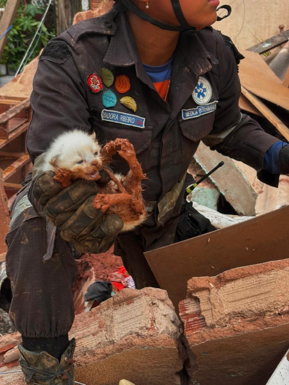 Animal é resgato sob escombos na tarde desta quinta-feira (26), em Juiz de Fora — Foto: Reprodução/Grupo de Resgate UNI-BH