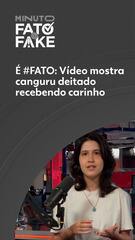 É #FATO: Vídeo mostra canguru recebendo carinho de visitantes em zoológico na China