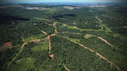 A história inventada para tentar roubar parte de uma fortuna bilionária.