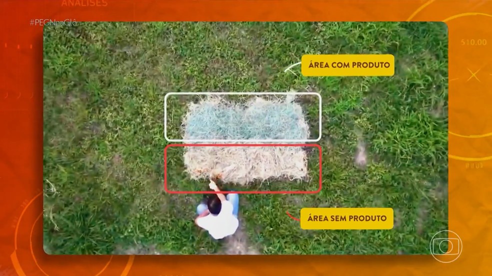 Startup brasileira cria biogel que combate o fogo e economiza água — Foto: Reprodução/PEGN