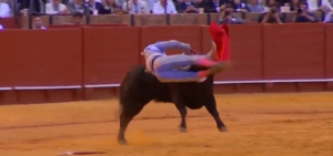 Toureiro fica gravemente ferido após levar chifrada na Espanha; VÍDEO