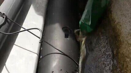 Câmera do tráfico é encontrada durante operação e surpreende repórter