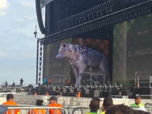 Loba gigante 'Isabel' surge no palco do show e agita fãs de Shakira em Copa