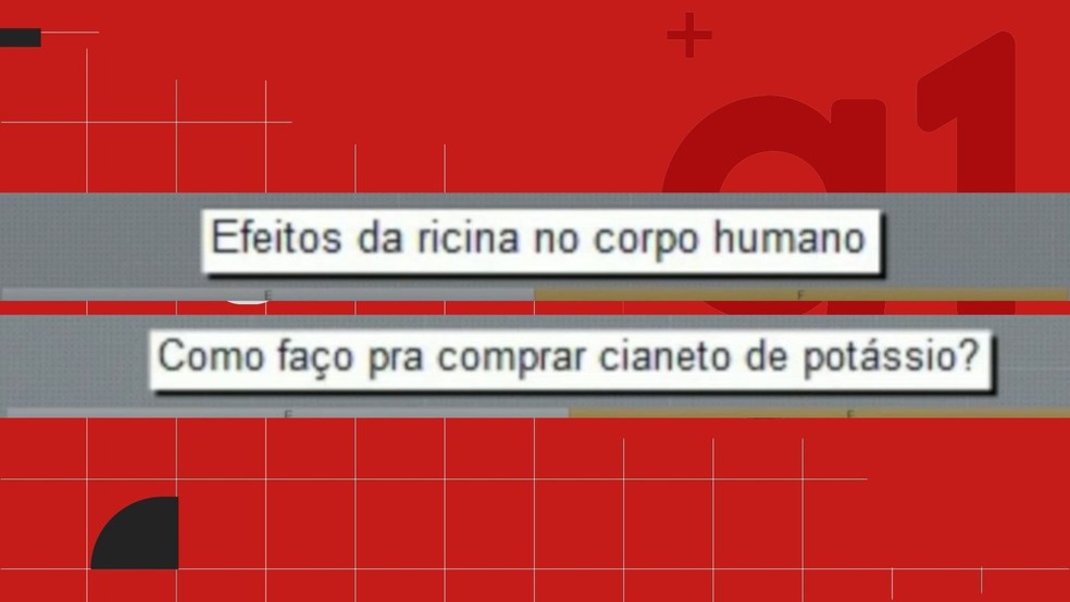 Veja mensagens enviadas por pai ao ChatGPT enquanto planejava matar o filho de 8 anos no Espírito Santo — Foto: Reprodução/PCES