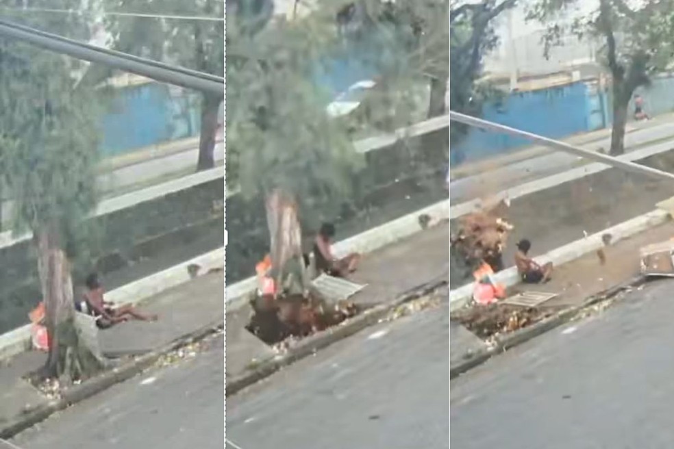 Árvore caiu e atingiu homem em situação de rua em Santos — Foto: Reprodução