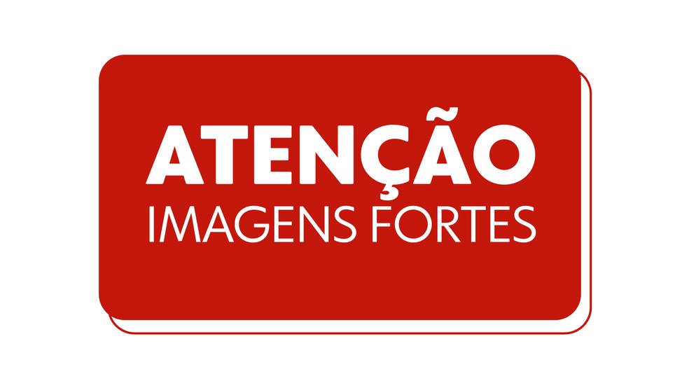 Imagens fortes — Foto: Reprodução