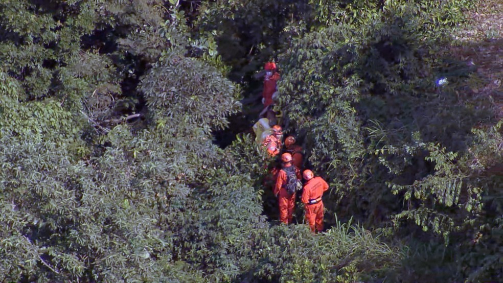 Bombeiros avançam por área de mata em resgate após queda de helicóptero — Foto: Reprodução/TV Globo
