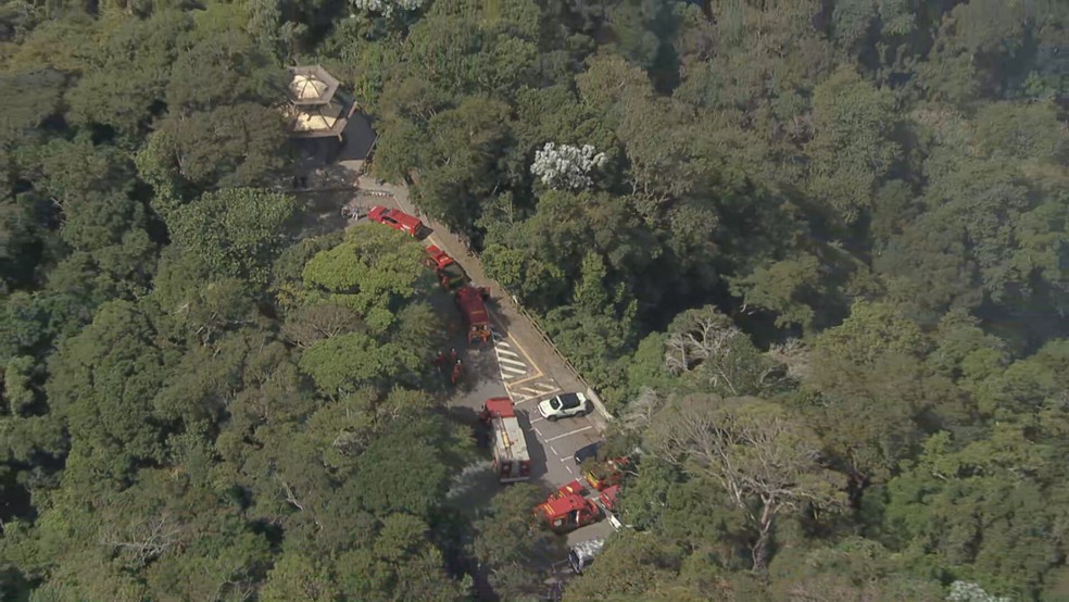 Carros dos bombeiros na área da Vista Chinesa — Foto: Reprodução/TV Globo
